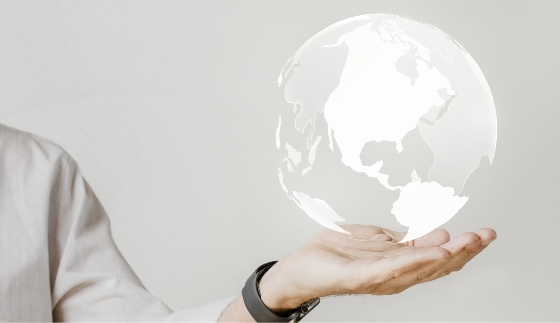 국제언어문화학부