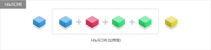 나노디그리 (12학점)