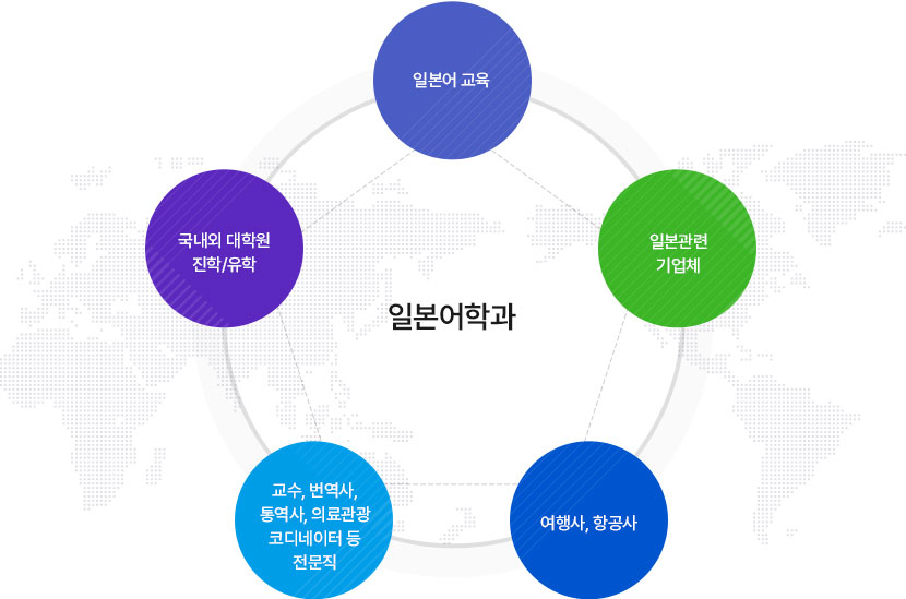 일본어 학과 / 일본어교육, 일본관련 기업체, 여행사/항공사, 교수, 번역사, 통역사, 의료관광코디네이터 등 전문직, 국내외 대학원 진학/유학