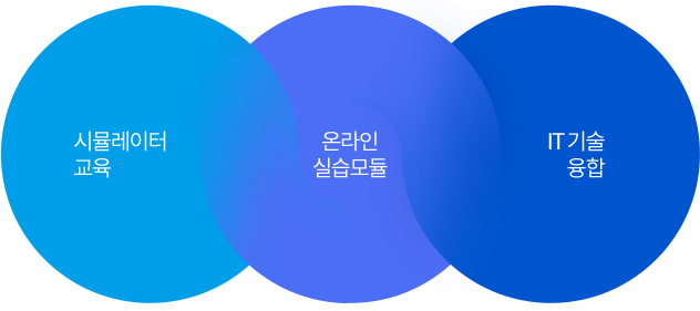 시뮬레이터 교육, 온라인실습모듈, IT기술융합