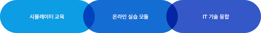 시뮬레이터 교육, 온라인실습모듈, IT기술융합