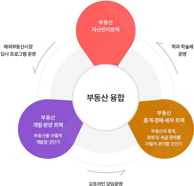 부동산 융합
		부동산 자산관리트랙 ->(해외부동산시장 답사 프로그램 운영) -> 부동산 개발 분양트랙 (부동산을 어떻게 개발할 것인가) -> (오프라인 모임 운영) -> 부동산 중개/경매/세무 트랙(부동산의 중계, 경매 및 세금문제를 어떻게 관리할 것인가) ->(학과 학술제 운영) -> 다시 처음으로